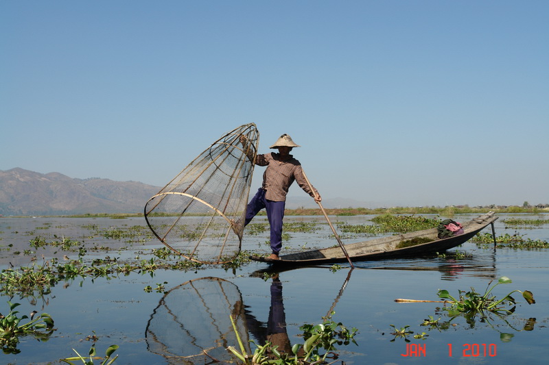 inle lake33 fishing.JPG