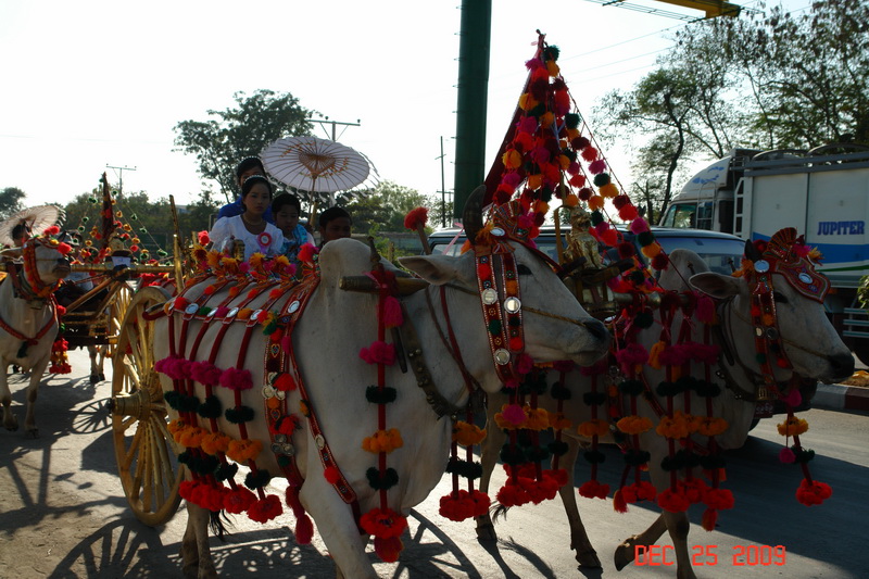 mandalay51 initiation ceremony.JPG
