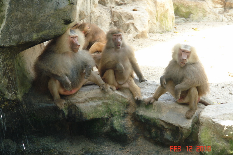singapore7.JPG