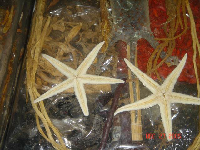 variety pack