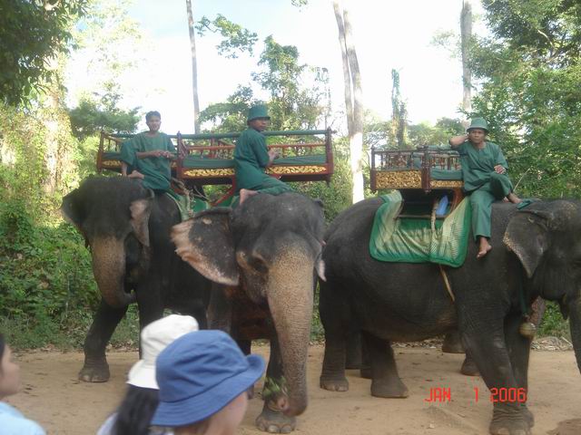 cambodia angkor temples and siem reap061.JPG