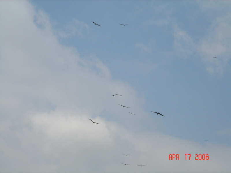 DSC05593.JPG