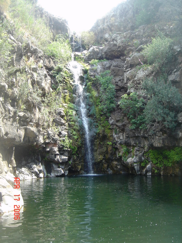 DSC05609.JPG