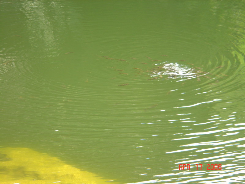 DSC05634.JPG