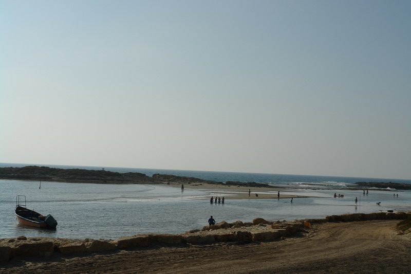 DSC00230.JPG