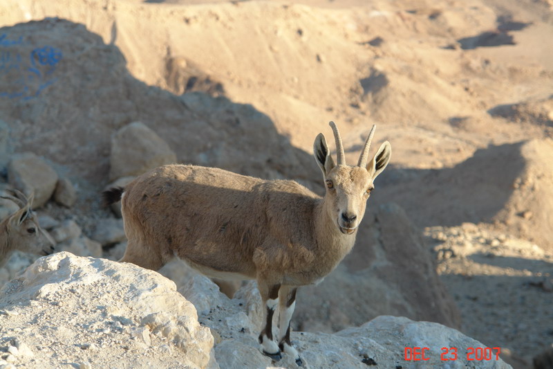 on way to eilat_08.JPG