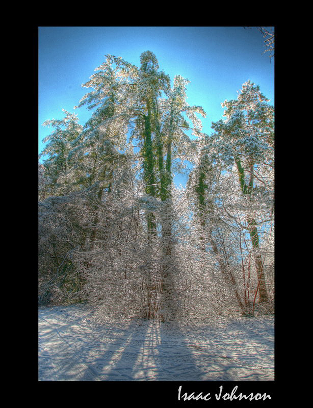 IMG_9108_7_6.jpg hdr