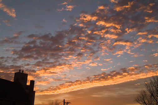 DSCF8873