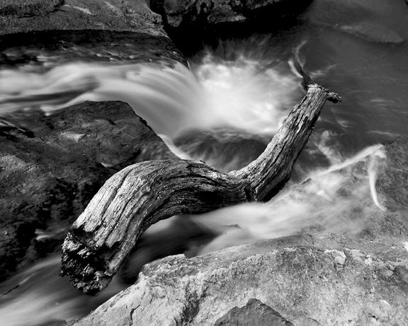 Waterfall  Branch