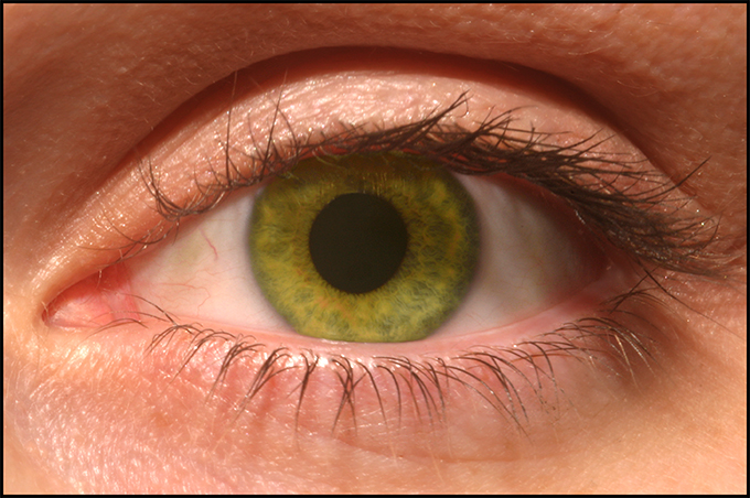 July 2nd - The Minds Eye