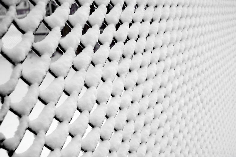 Chain Link 4