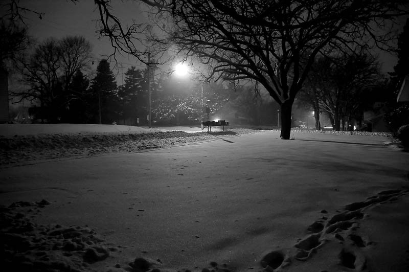 Foggy Evening - January 3  [8]