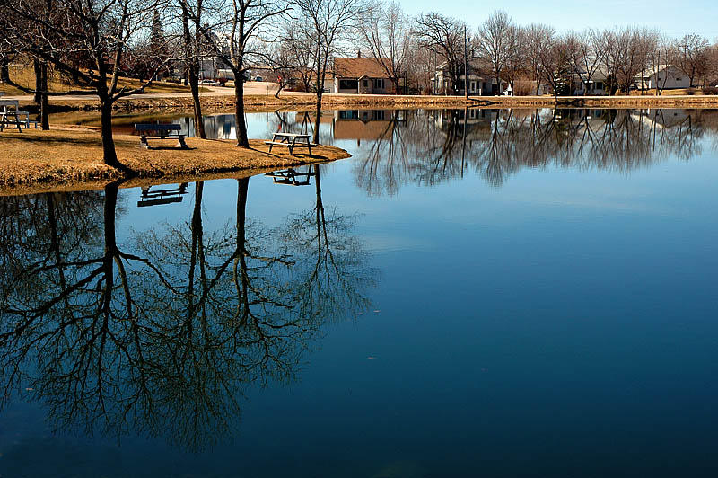 Early Spring Reflections II  ~  April 4  [13]