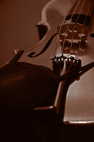 Violin  ~  May 3  [13]