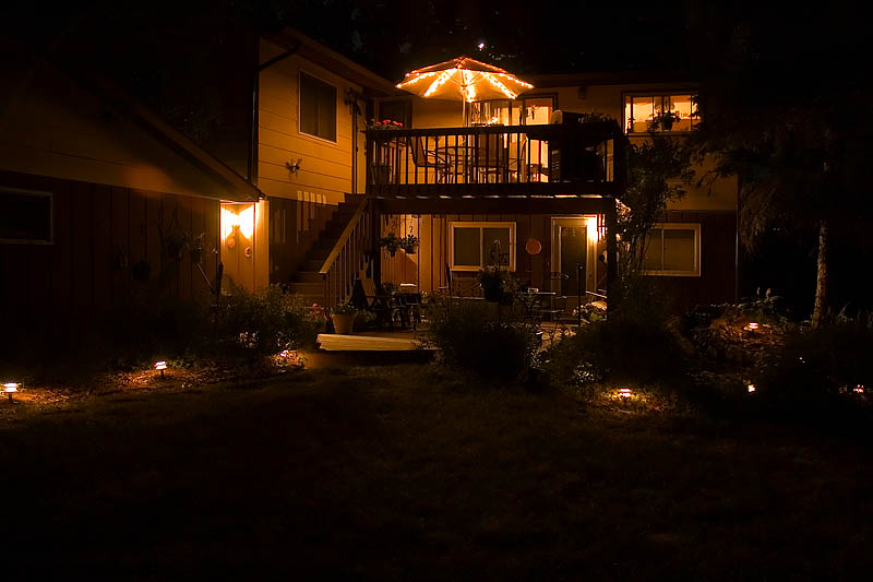 Midnight at the Oasis  ~  August 7