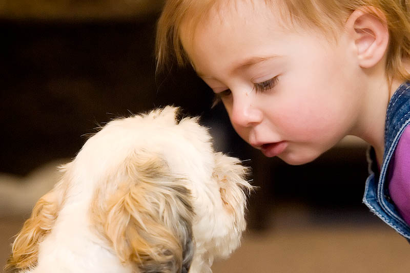 Gizmo and Friend  ~  January 14  [18]