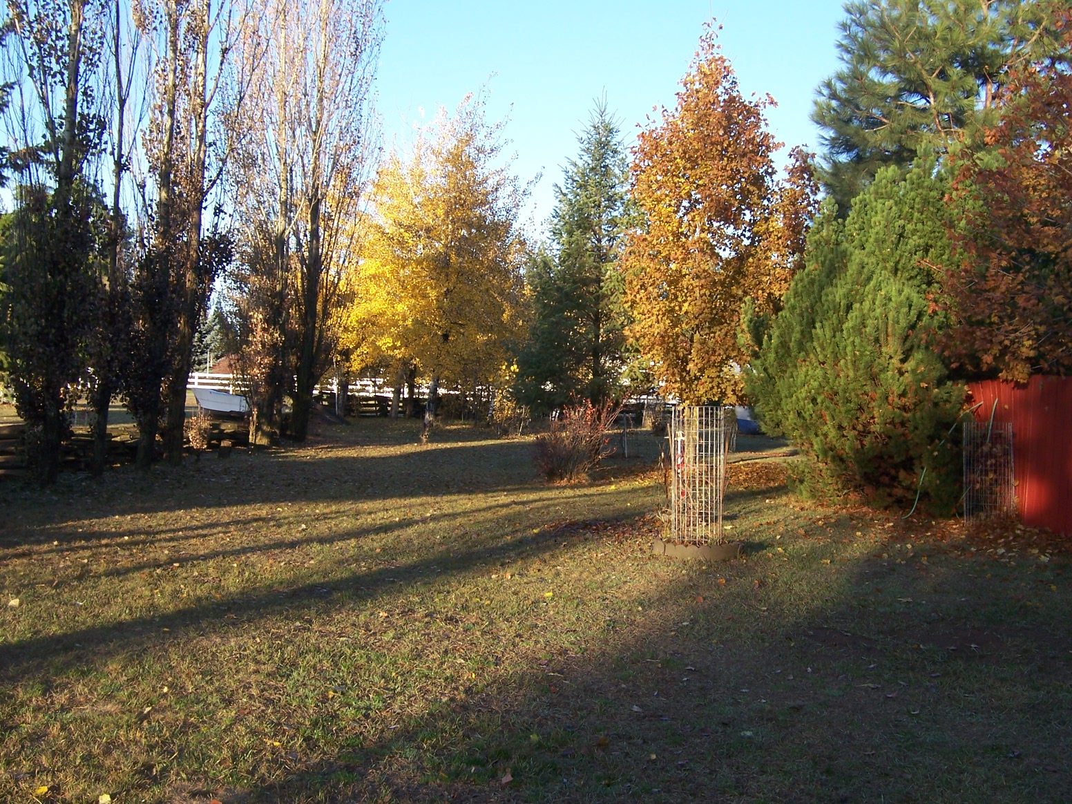 021.JPG