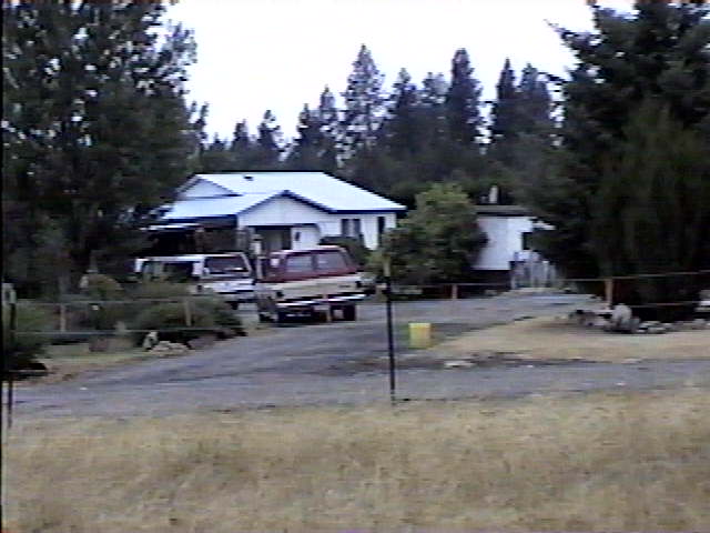 Our place looking from Kips driveway next door.  The fence is between our propertys.jpg