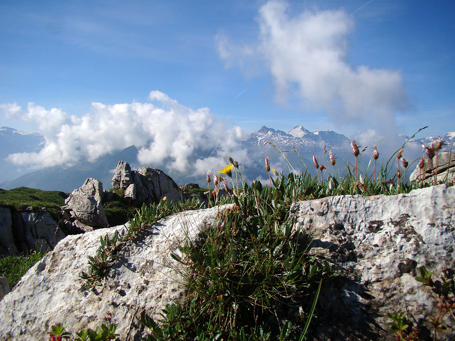 Blick zum Krpf