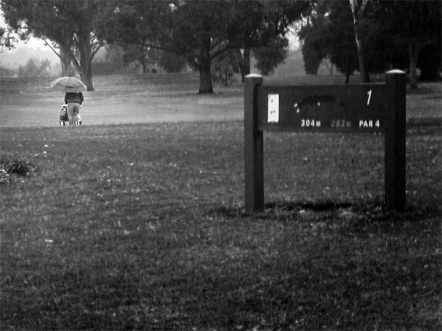 Dedicated golfer