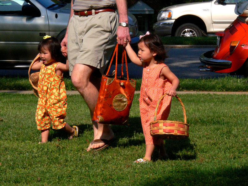 Go hunting, P1050784res.jpg