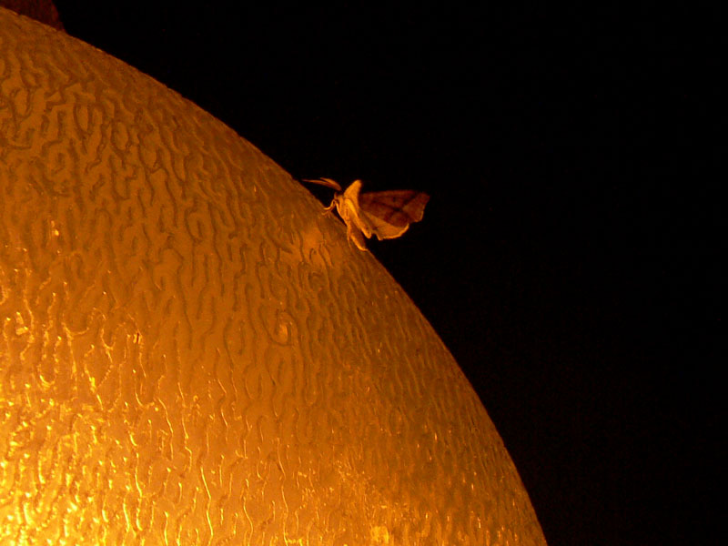 The moon revisited