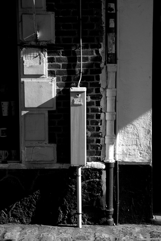 IMG_2452 bw.jpg