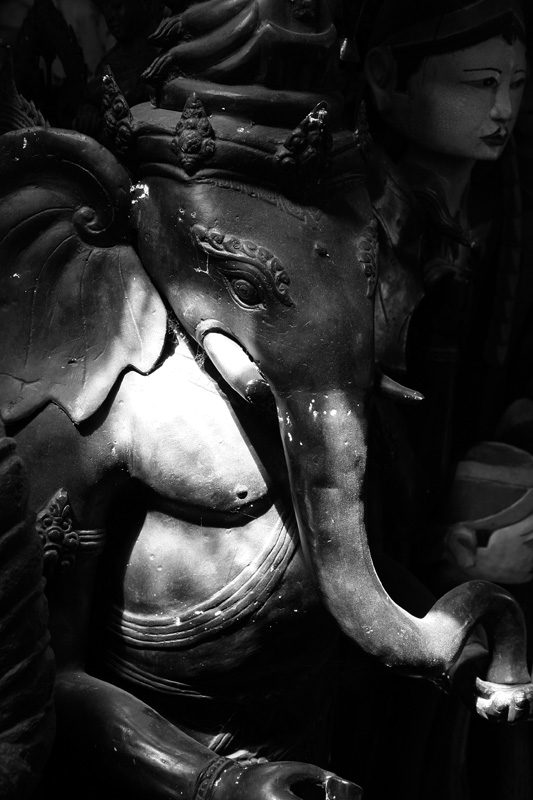 IMG_9667 bw.jpg