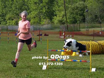  Agility Connection July 01/02
