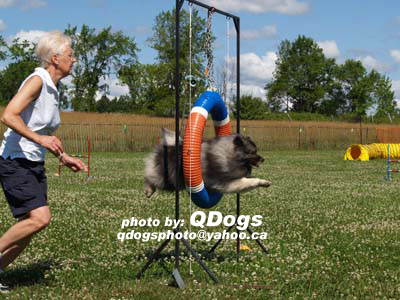 CPE July 23 Agility Connection