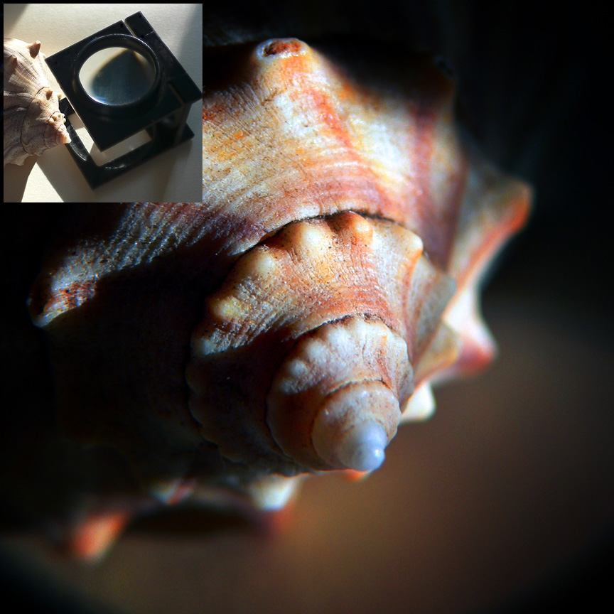Macro Test