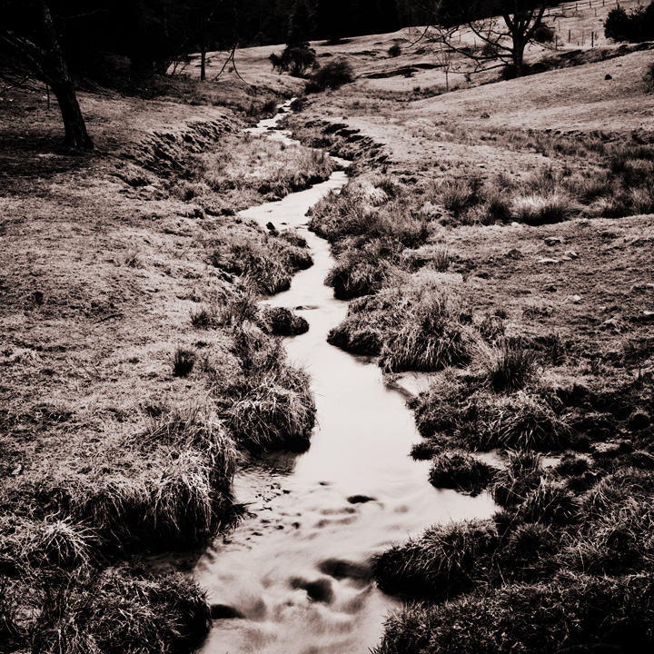 Creek after Sunset