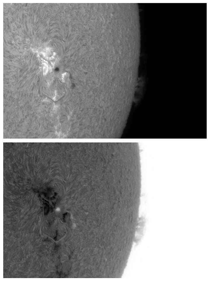 AR 1193 22 April 2011