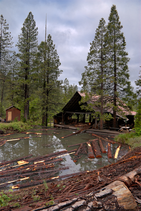 Phillips Steam Powered Sawmill