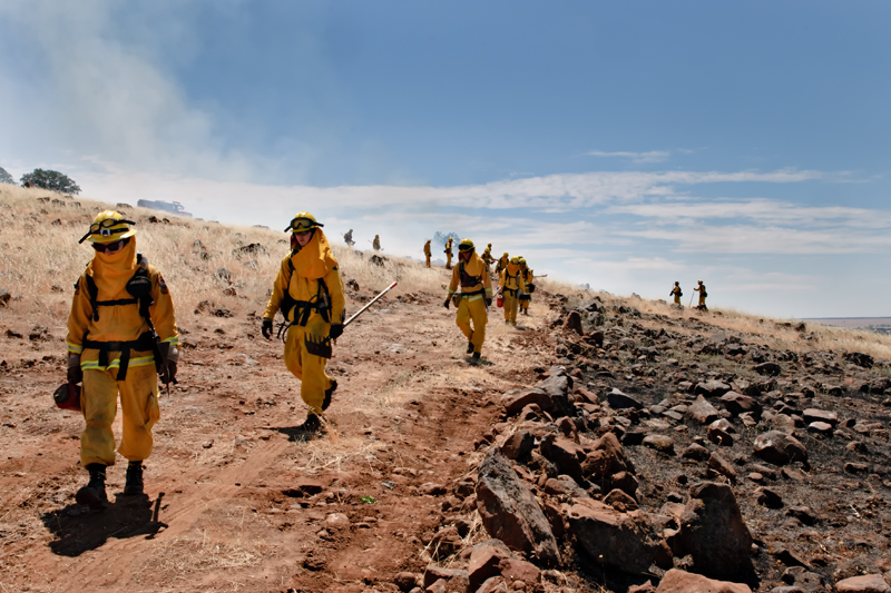 Prescribed Burn Dye Creek Preserve