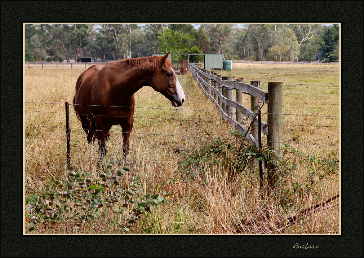 Stopped for a chat