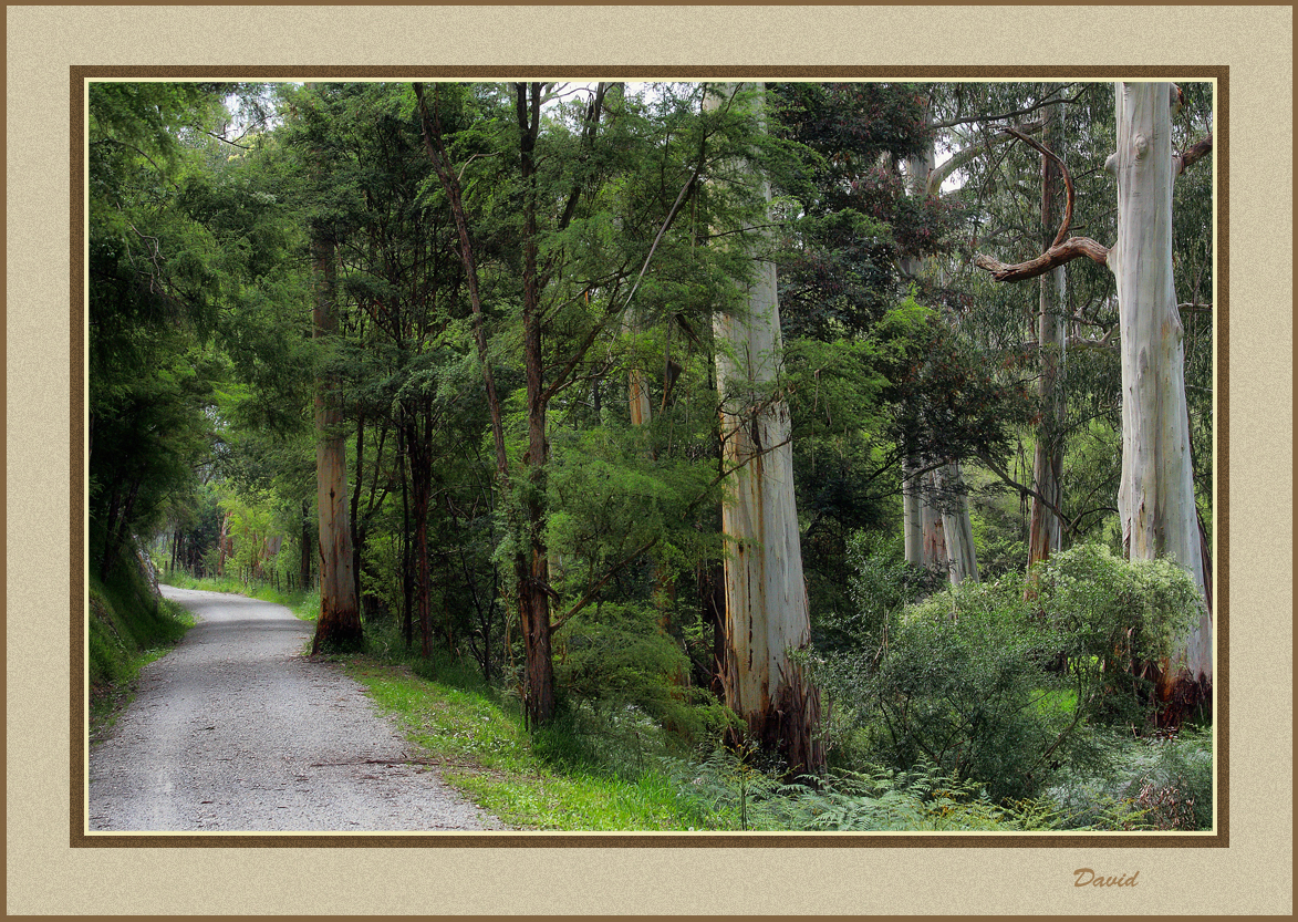 Approaching the bend 