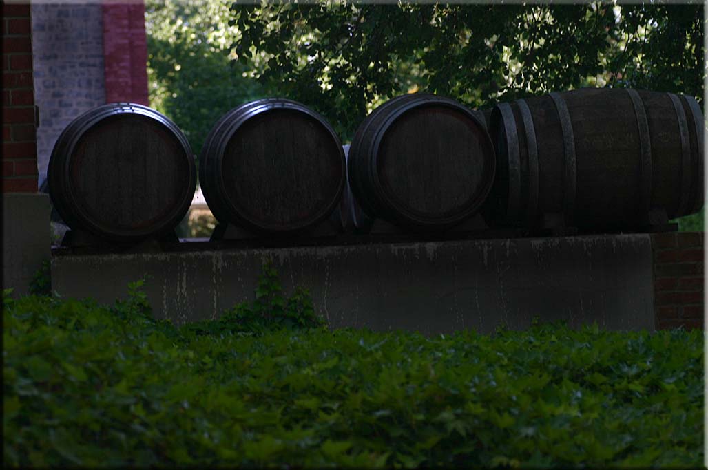 Walking past the barrels