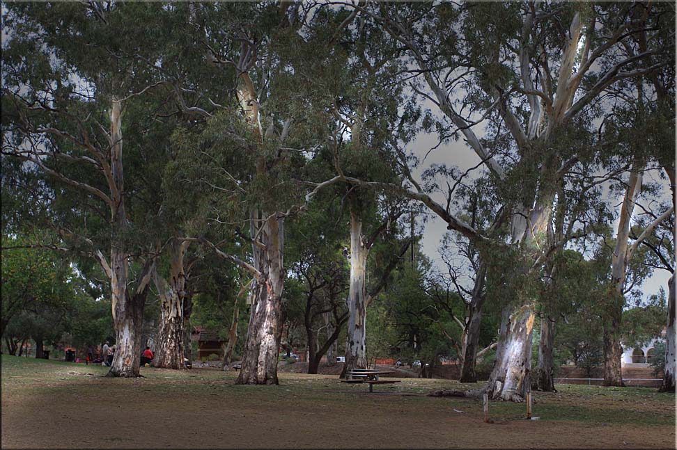 Footsteps in a favourite park