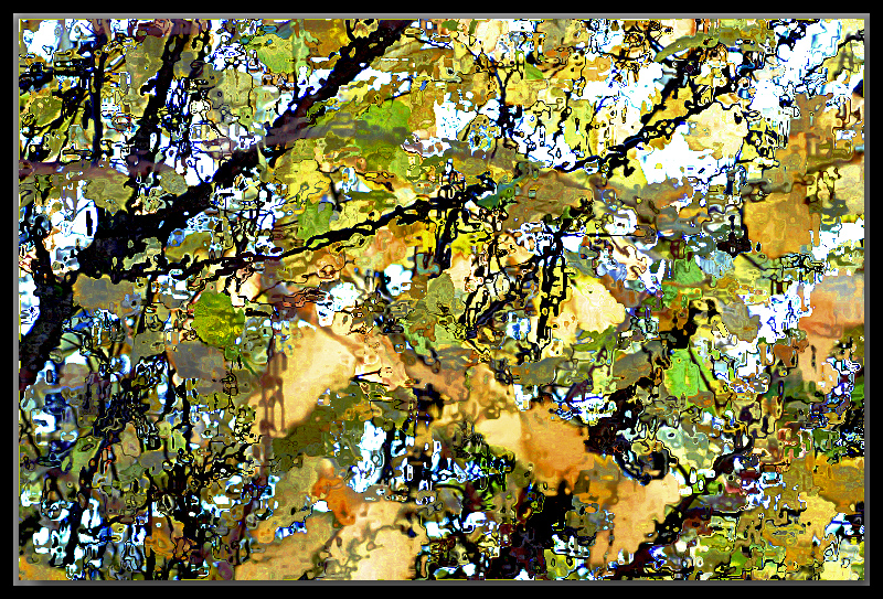 Rippling in the breeze