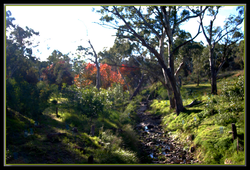 By the side of the creek