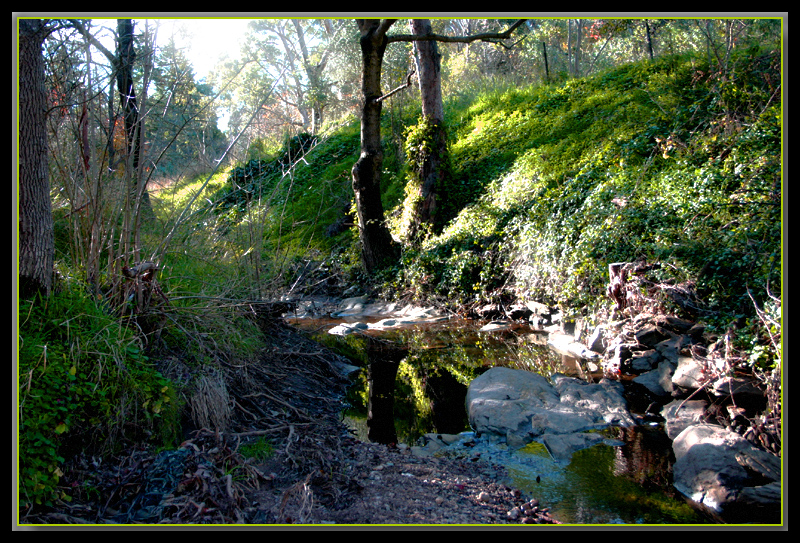 Water in Minno Creek