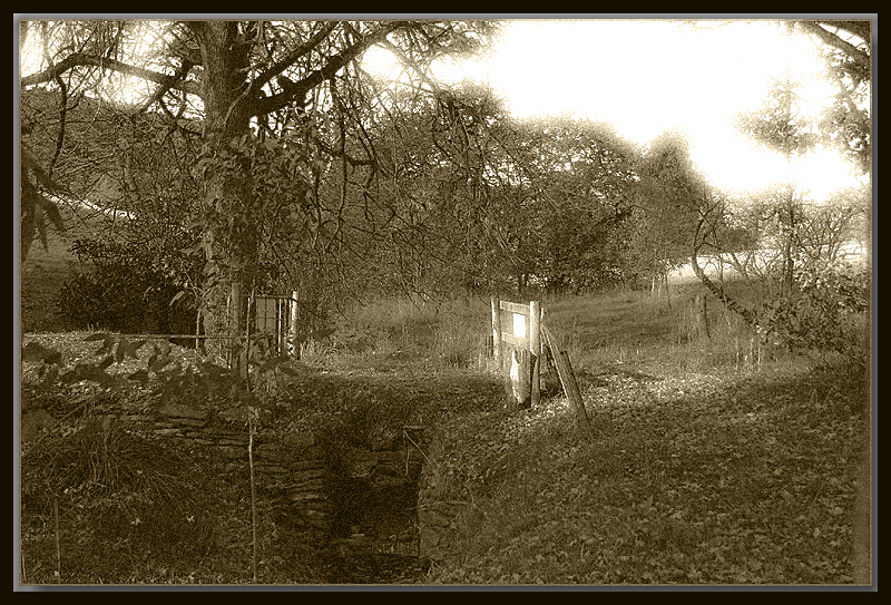 The old rotting bridge