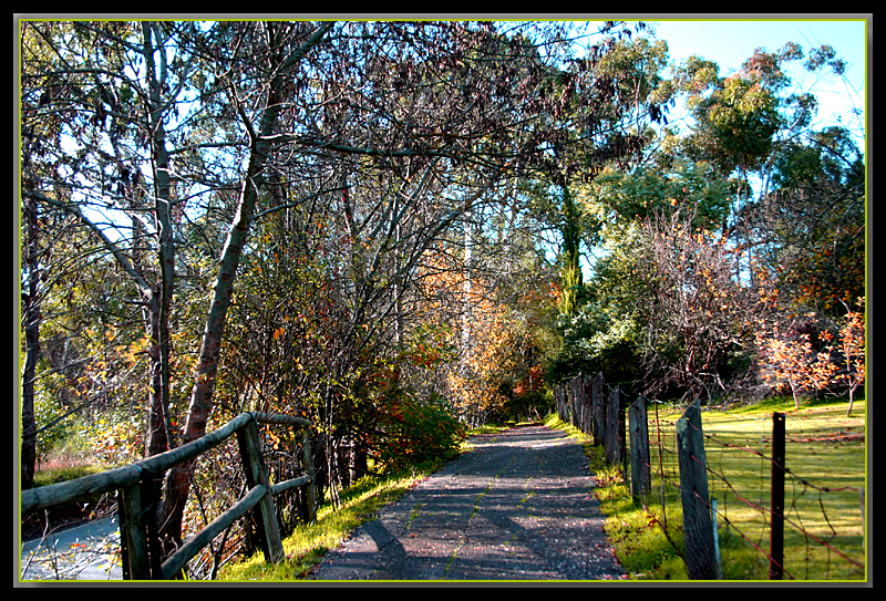 Pathway