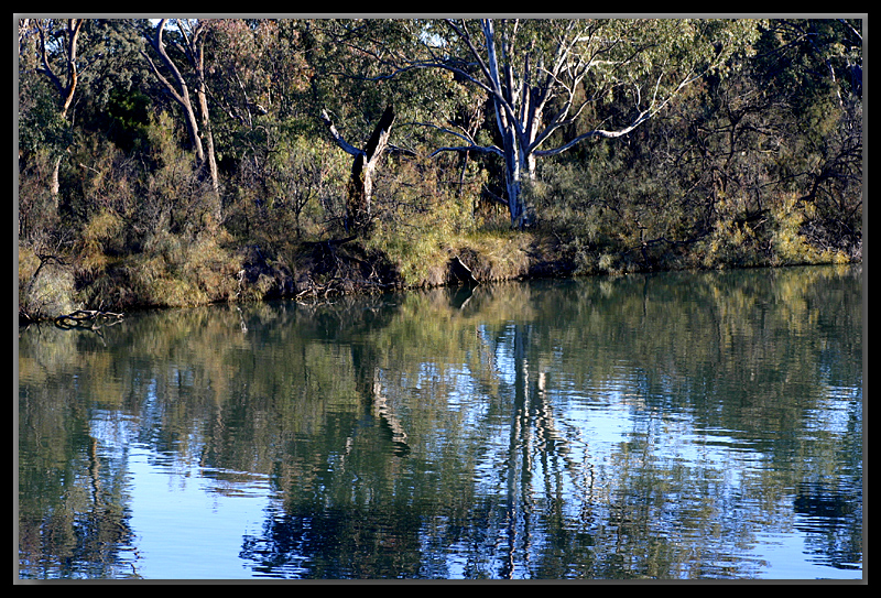 By the side of the River Murray