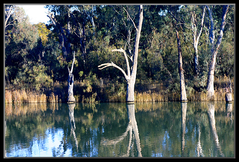 The river's edge