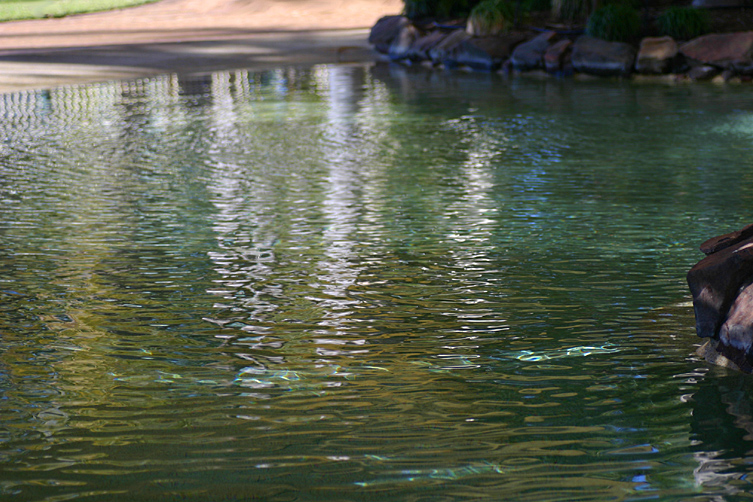 Swimming pool...