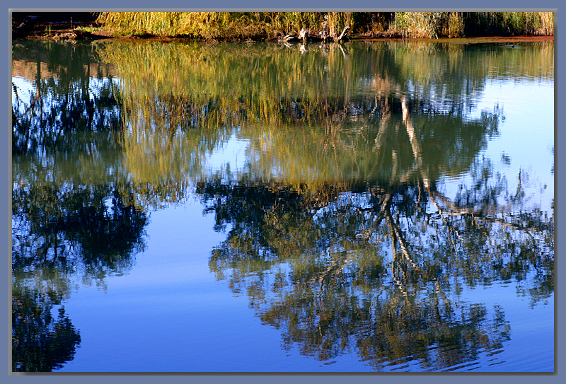 Reflections on the river