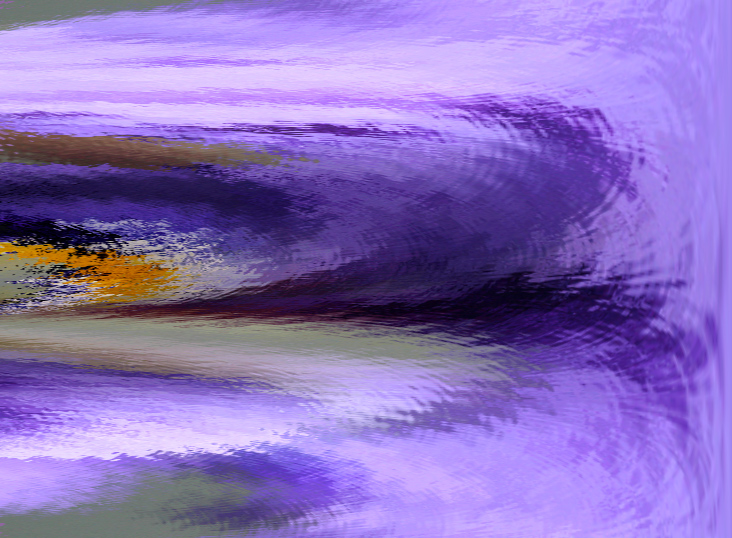 Impressions of a winter iris