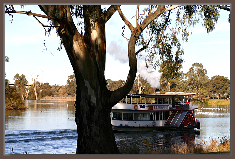 Paddle steamer on the Murray